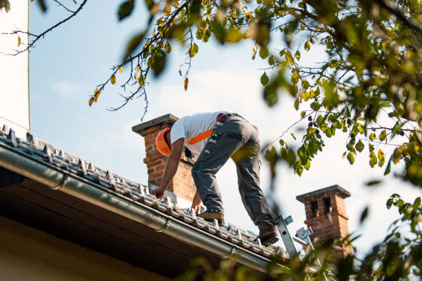 Best Commercial Roofing Services  in Lamont, MI