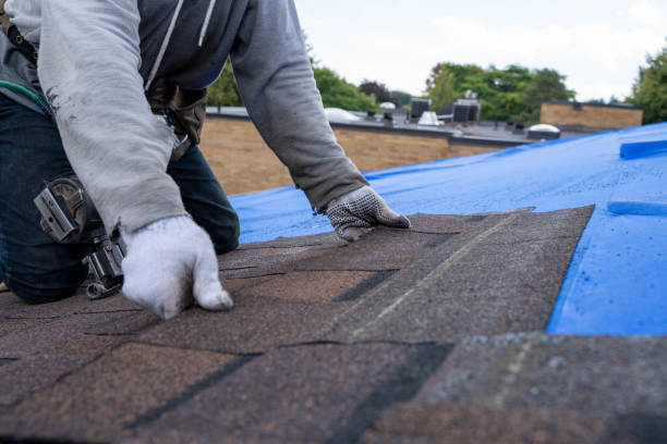 Quick and Trustworthy Emergency Roof Repair Services in Lamont, MI