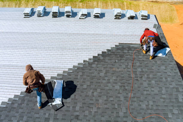 Professional Roofing Contractor in Lamont, MI