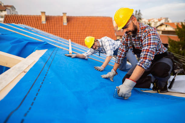 Best Best Roofing Contractors  in Lamont, MI