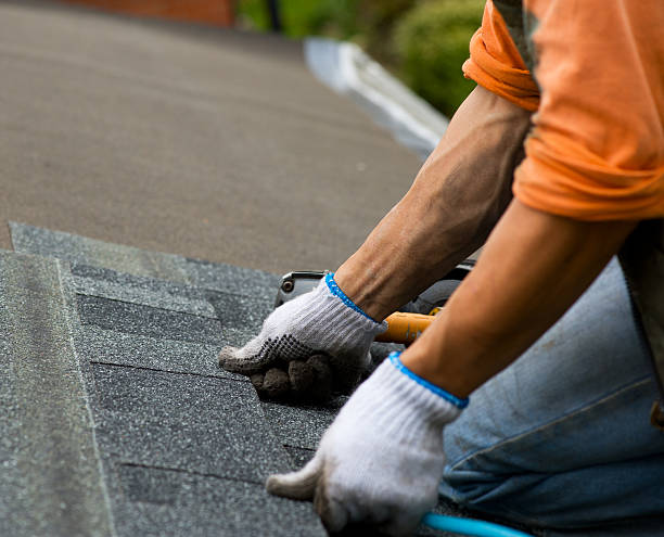Best Roof Leak Repair  in Lamont, MI