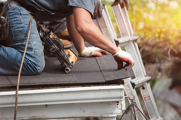 Best Roof Replacement Cost  in Lamont, MI