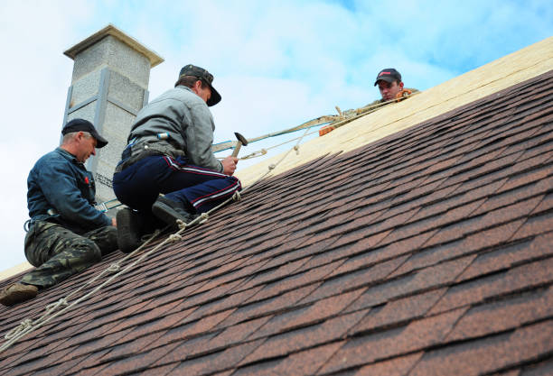Best Slate Roofing Contractor  in Lamont, MI
