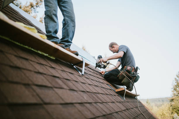 Best Flat Roof Repair Services  in Lamont, MI