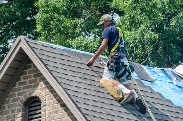 Best New Roof Installation  in Lamont, MI
